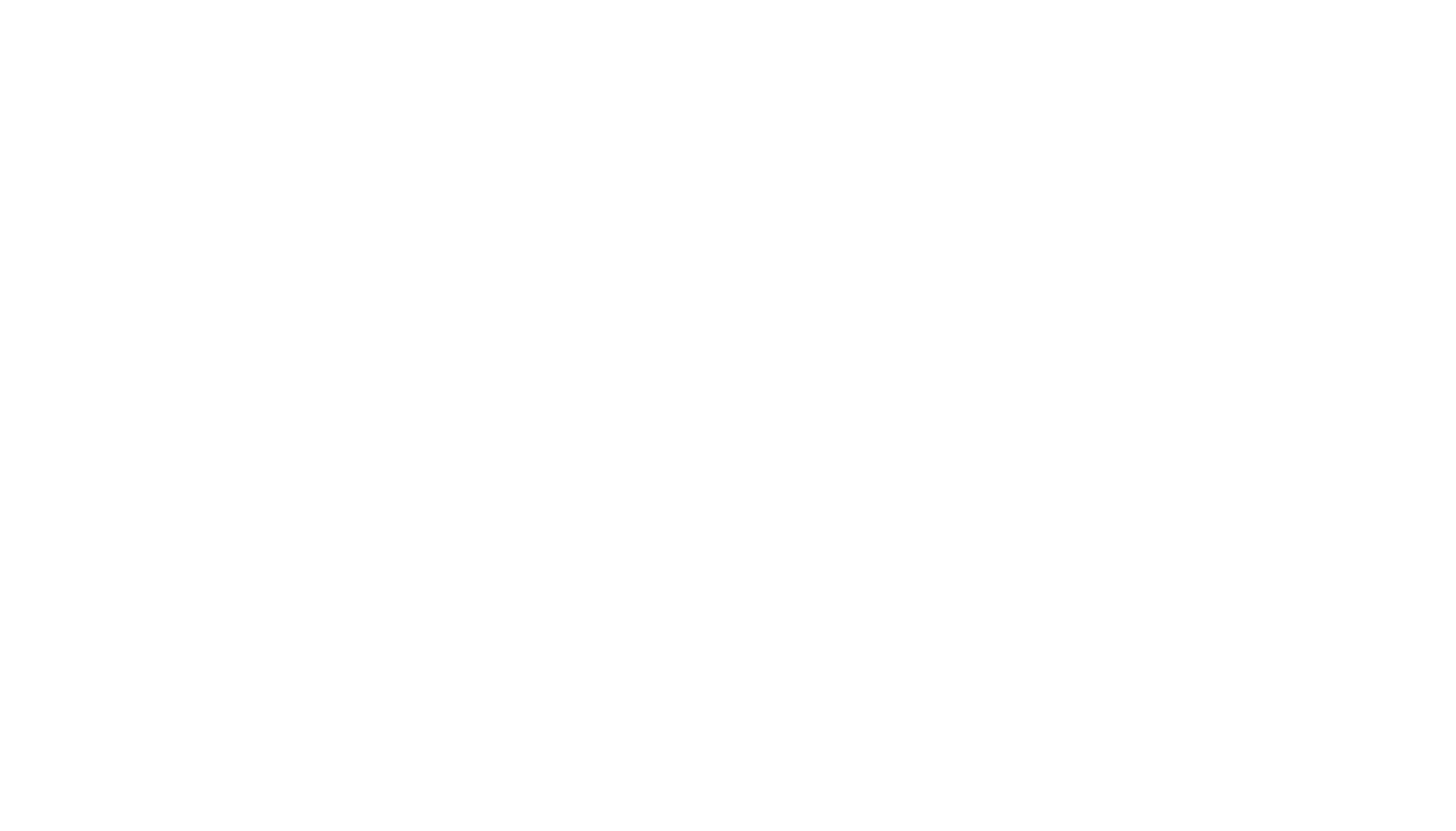 logo blanc